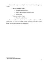 Referāts 'Uzņēmuma vērtība', 11.