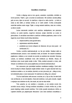 Referāts 'Konflikts', 9.