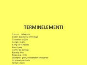 Konspekts 'Terminelementi latīņu valodā', 1.