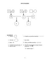 Referāts 'Sabiedrības novecošana', 4.