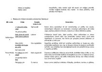 Konspekts 'Vizma Belševica "Dzeltu laiks"', 6.