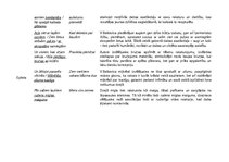 Konspekts 'Vizma Belševica "Dzeltu laiks"', 7.