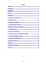 Referāts 'Mediācija krimināltiesiskajā jomā', 5.