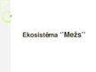 Prezentācija 'Ekosistēma "Mežs"', 1.