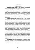 Referāts 'Uzņēmuma peļņa un rentabilitāte', 6.