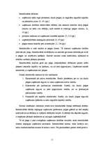 Referāts 'Uzņēmuma peļņa un rentabilitāte', 11.