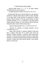 Referāts 'Uzņēmuma peļņa un rentabilitāte', 25.