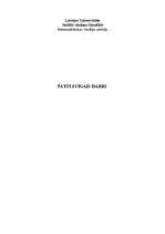 Konspekts 'Filosofija', 1.