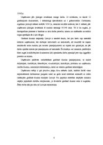 Biznesa plāns 'Grafiskā dizaina kompānija', 4.