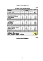 Biznesa plāns 'Grafiskā dizaina kompānija', 19.