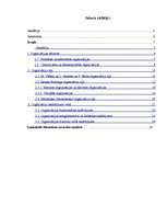 Referāts 'Organizāciju veidi', 2.