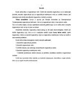 Referāts 'Organizāciju veidi', 5.