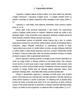 Referāts 'Organizāciju veidi', 6.