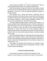 Referāts 'Organizāciju veidi', 7.