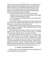 Referāts 'Organizāciju veidi', 8.