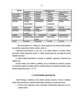 Referāts 'Organizāciju veidi', 12.