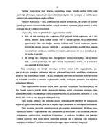 Referāts 'Organizāciju veidi', 17.