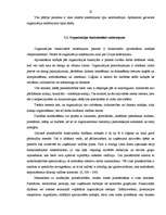 Referāts 'Organizāciju veidi', 22.