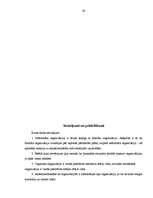 Referāts 'Organizāciju veidi', 26.