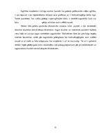 Biznesa plāns 'Biznesa plānam izvēlētās industrijas un produkta analīze', 6.