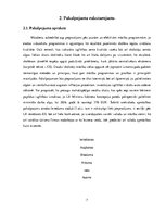 Biznesa plāns 'Biznesa plānam izvēlētās industrijas un produkta analīze', 7.