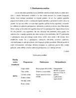 Biznesa plāns 'Biznesa plānam izvēlētās industrijas un produkta analīze', 12.