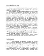 Referāts 'Kurzeme', 1.