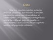 Referāts 'Latvijas ostu attīstības tendences', 37.