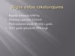 Referāts 'Latvijas ostu attīstības tendences', 42.