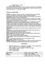 Eseja 'Desmitgadīga bērna dzimšanas dienas rīkošana un svinēšana - projekts', 4.