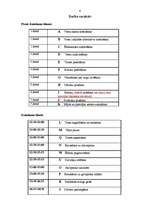 Eseja 'Desmitgadīga bērna dzimšanas dienas rīkošana un svinēšana - projekts', 6.