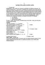 Eseja 'Desmitgadīga bērna dzimšanas dienas rīkošana un svinēšana - projekts', 10.