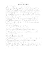 Eseja 'Desmitgadīga bērna dzimšanas dienas rīkošana un svinēšana - projekts', 11.