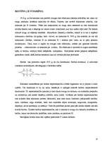 Referāts 'Uzturdevu aprēķināšana', 19.