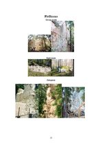 Referāts 'Ekskursija "Ar laivām pa Gauju"', 15.