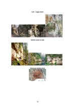 Referāts 'Ekskursija "Ar laivām pa Gauju"', 16.