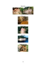 Referāts 'Ekskursija "Ar laivām pa Gauju"', 18.