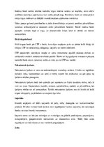 Konspekts 'Investīcijas', 5.