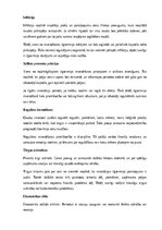 Konspekts 'Investīcijas', 8.
