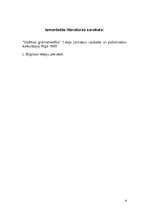 Referāts 'Izmaksu klasifikācija pašizmaksas aprēķinos', 9.