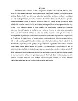 Referāts 'Tiesību iedalījums', 3.