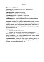 Diplomdarbs 'Jauniešu saskarsmes pilnveides iespējas bigbenda kolektīvā', 2.