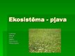 Prezentācija 'Pļavas', 1.