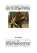 Prezentācija 'Ļaunie gari', 4.