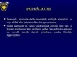 Prezentācija 'Prakses prezentācija', 8.