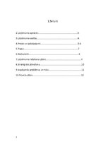 Biznesa plāns 'Biznesa plāns ekonomikā', 2.