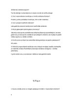 Biznesa plāns 'Biznesa plāns ekonomikā', 6.