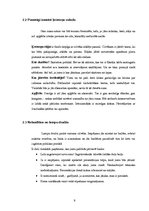 Referāts 'Prezentācija', 9.