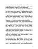 Referāts 'Tehnikas attīstība', 8.