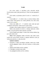 Prakses atskaite 'Aktīvā mācību un audzināšanas prakse sākumskolā', 3.